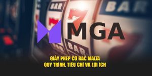 Giấy Phép Cờ Bạc Malta – Quy Trình, Tiêu Chí Và Lợi Ích